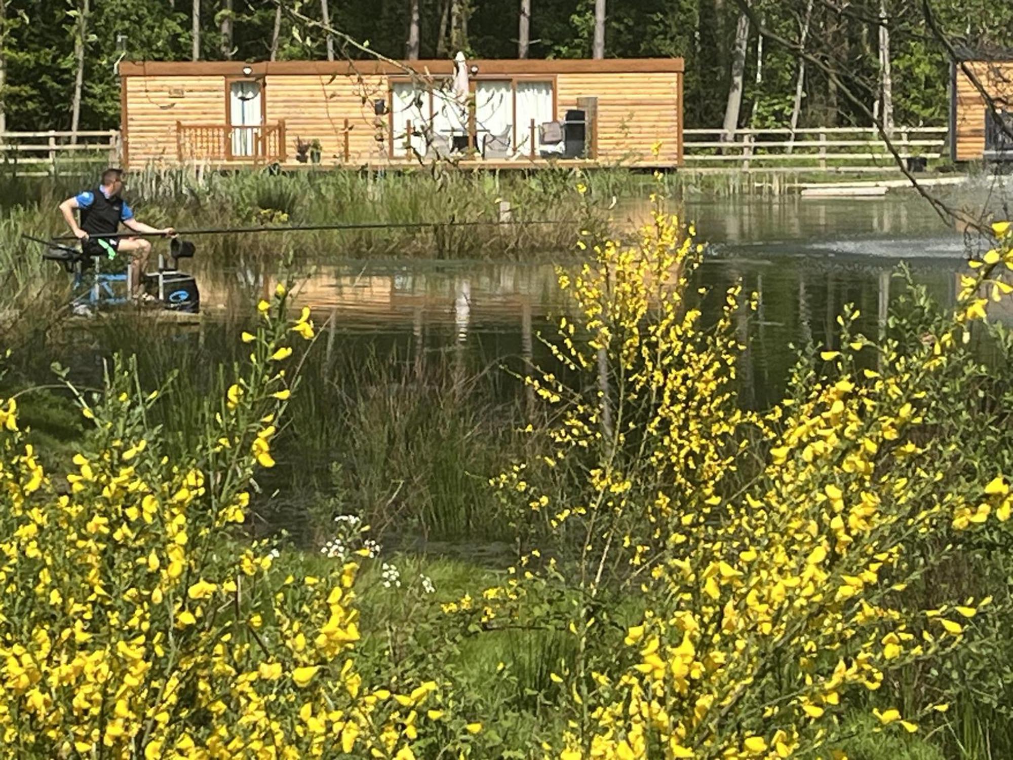 Pine Boutique With Hot Tub For Couples & Dog Casa vacanze York